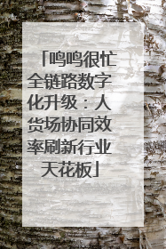 鸣鸣很忙全链路数字化升级：人货场协同效率刷新行业天花板