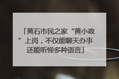 黄石市民之家“黄小政”上岗，不仅能聊天办事还能听懂多种语言