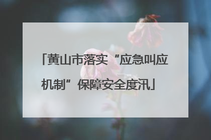 黄山市落实“应急叫应机制”保障安全度汛