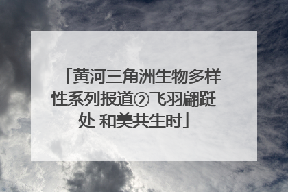 黄河三角洲生物多样性系列报道②飞羽翩跹处 和美共生时