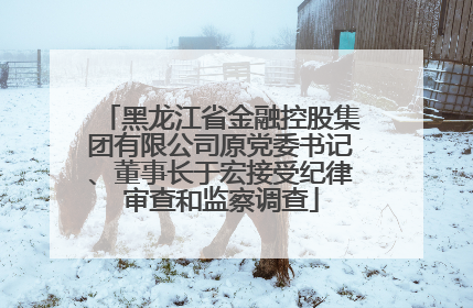 黑龙江省金融控股集团有限公司原党委书记、董事长于宏接受纪律审查和监察调查