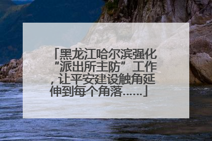 黑龙江哈尔滨强化“派出所主防”工作，让平安建设触角延伸到每个角落……