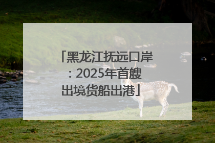 黑龙江抚远口岸：2025年首艘出境货船出港