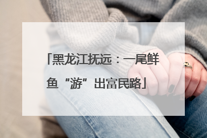 黑龙江抚远：一尾鲜鱼“游”出富民路