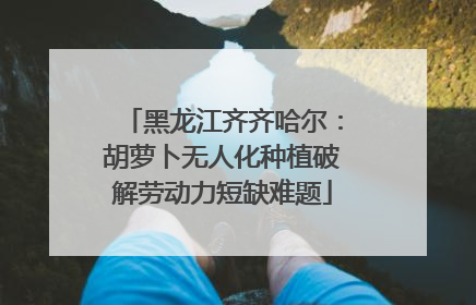黑龙江齐齐哈尔：胡萝卜无人化种植破解劳动力短缺难题