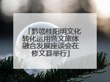 黔赣桂阳明文化转化运用暨文旅体融合发展座谈会在修文县举行