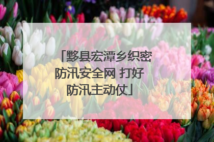黟县宏潭乡织密防汛安全网 打好防汛主动仗