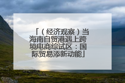 （经济观察）当海南自贸港遇上跨境电商综试区：国际贸易添新动能
