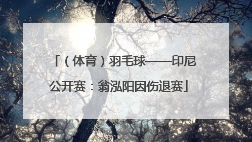 （体育）羽毛球——印尼公开赛：翁泓阳因伤退赛