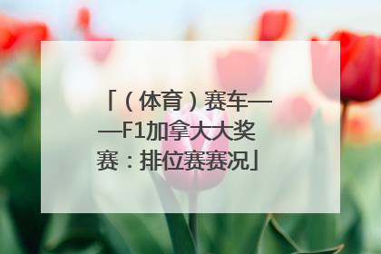 （体育）赛车——F1加拿大大奖赛：排位赛赛况
