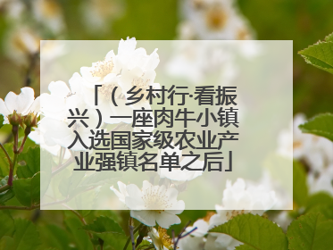 （乡村行·看振兴）一座肉牛小镇入选国家级农业产业强镇名单之后