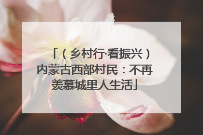 （乡村行·看振兴）内蒙古西部村民：不再羡慕城里人生活