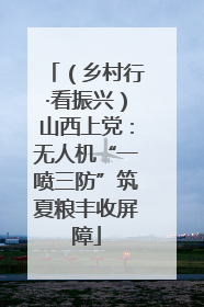 （乡村行·看振兴）山西上党：无人机“一喷三防”筑夏粮丰收屏障