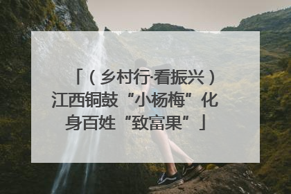 （乡村行·看振兴）江西铜鼓“小杨梅”化身百姓“致富果”