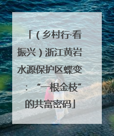 （乡村行·看振兴）浙江黄岩水源保护区蝶变：“一根金枝”的共富密码