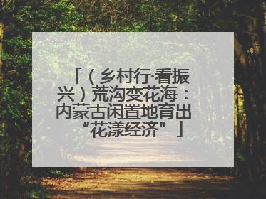 （乡村行·看振兴）荒沟变花海：内蒙古闲置地育出“花漾经济”
