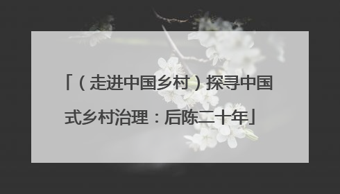 （走进中国乡村）探寻中国式乡村治理：后陈二十年