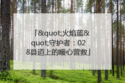 "火焰蓝"守护者：028县道上的暖心营救