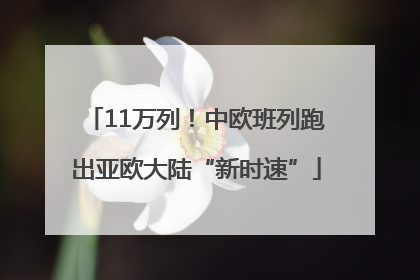 11万列！中欧班列跑出亚欧大陆“新时速”
