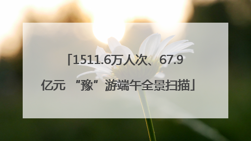 1511.6万人次、67.9亿元 “豫”游端午全景扫描