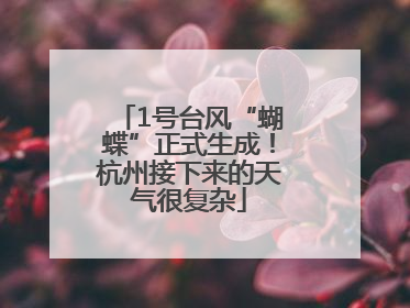 1号台风“蝴蝶”正式生成！杭州接下来的天气很复杂