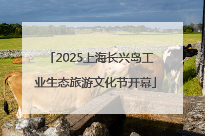 2025上海长兴岛工业生态旅游文化节开幕
