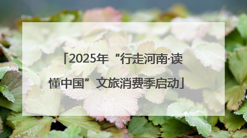 2025年“行走河南·读懂中国”文旅消费季启动