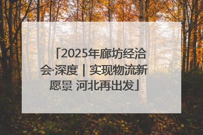 2025年廊坊经洽会·深度｜实现物流新愿景 河北再出发
