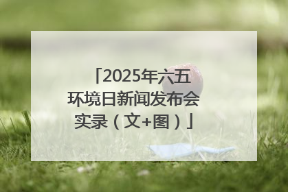 2025年六五环境日新闻发布会实录（文+图）