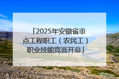 2025年安徽省重点工程职工（农民工）职业技能竞赛开幕