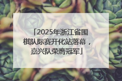 2025年浙江省围棋队际赛开化站落幕，嘉兴队荣膺冠军