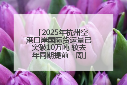 2025年杭州空港口岸国际货运量已突破10万吨 较去年同期提前一周