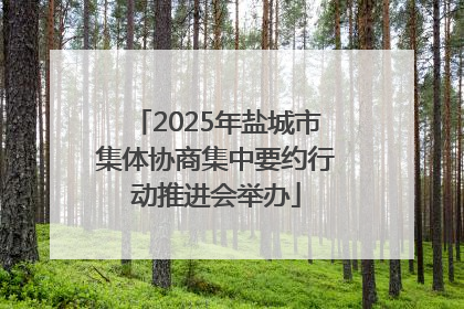 2025年盐城市集体协商集中要约行动推进会举办