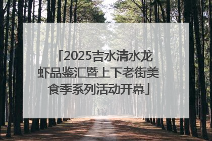 2025吉水清水龙虾品鉴汇暨上下老街美食季系列活动开幕