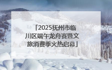 2025抚州市临川区端午龙舟赛暨文旅消费季火热启幕