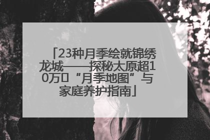 23种月季绘就锦绣龙城——探秘太原超10万㎡“月季地图”与家庭养护指南