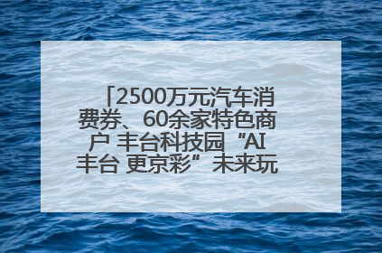 2500万元汽车消费券、60余家特色商户 丰台科技园“AI丰台 更京彩”未来玩家市集活动正式开幕