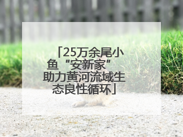 25万余尾小鱼“安新家” 助力黄河流域生态良性循环