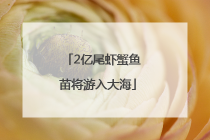 2亿尾虾蟹鱼苗将游入大海