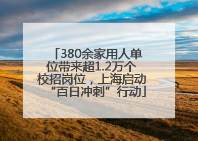 380余家用人单位带来超1.2万个校招岗位，上海启动“百日冲刺”行动