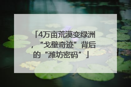 4万亩荒漠变绿洲，“戈壁奇迹”背后的“潍坊密码”