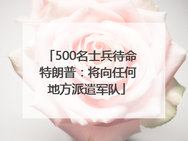 500名士兵待命 特朗普：将向任何地方派遣军队