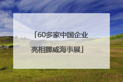 60多家中国企业亮相挪威海事展