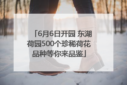6月6日开园 东湖荷园500个珍稀荷花品种等你来品鉴