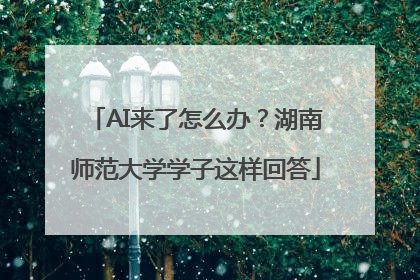 AI来了怎么办？湖南师范大学学子这样回答