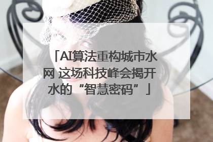 AI算法重构城市水网 这场科技峰会揭开水的“智慧密码”