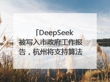 DeepSeek被写入市政府工作报告，杭州将支持算法模型企业发展