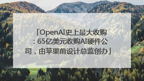 OpenAI史上最大收购：65亿美元收购AI硬件公司，由苹果前设计总监创办